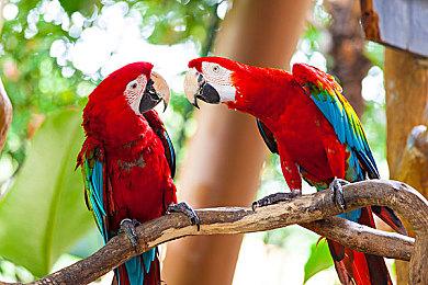 《战锤40K：行商浪人》发布媒体赞誉视频 IGN 8分